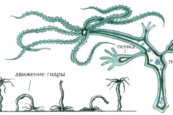 Нарко сайт кракен